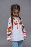 Підліткова вишиванка для дівчинки Калина 4-5 роки 5553 фото